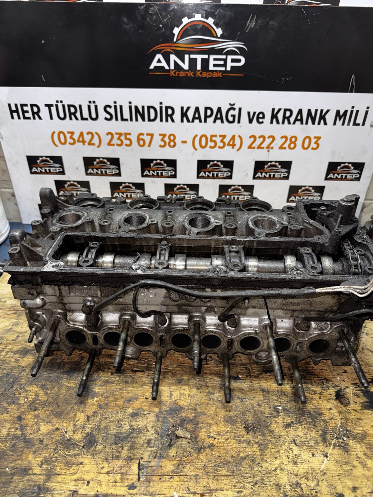 2948068606009-879-IMG_2975